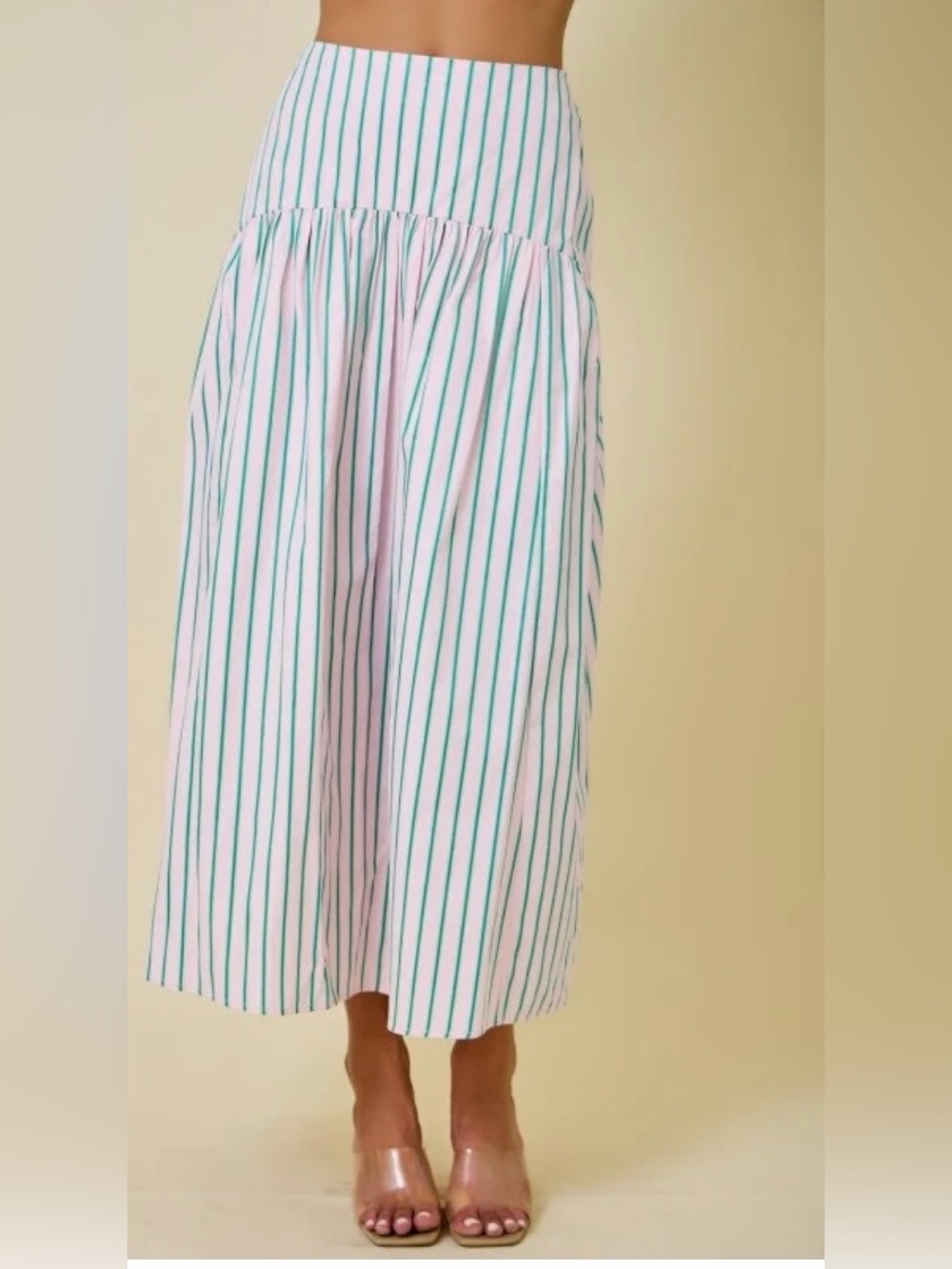 Day + Moon Stripe Flared Skirt